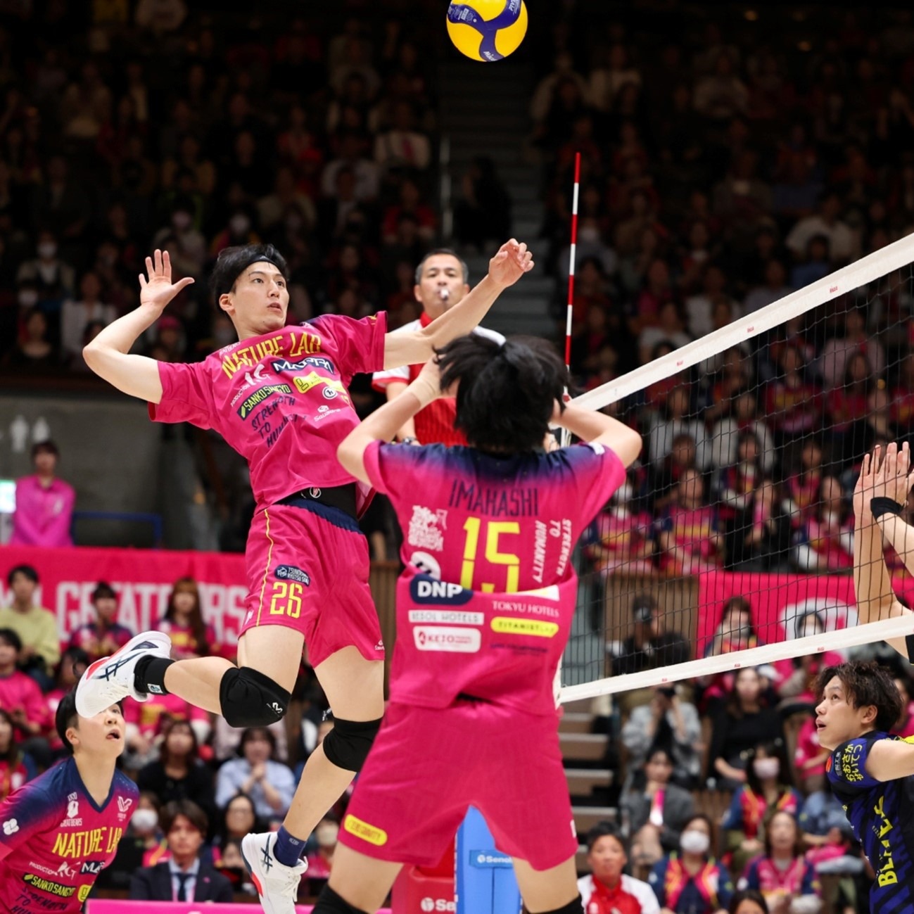 乒乓球新秀成长观察